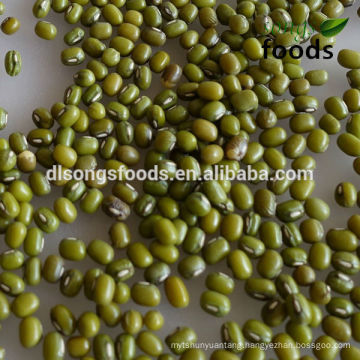 New Crop Green Mung Beans for sprouting with competitive price